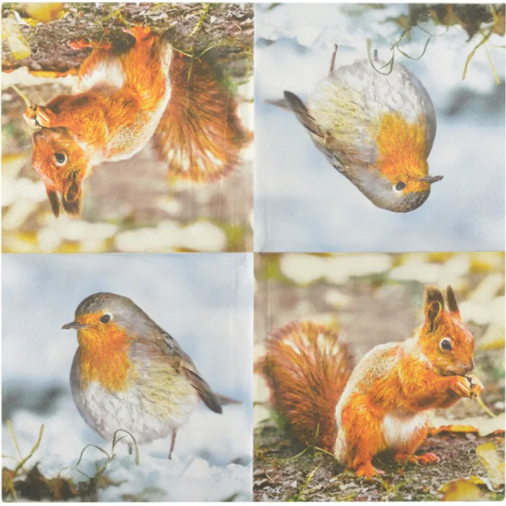 servietten Robin & Squirrel Papier 20 Stück