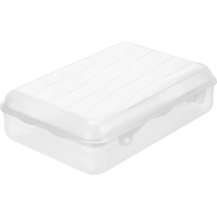 Rotho Funbox Vesperdose 3.95 l, Kunststoff (BPA-frei), transparent, 3.95 Liter (30 x 21 x 8 cm)