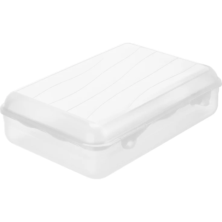 Rotho Funbox Vesperdose 3.95 l, Kunststoff (BPA-frei), transparent, 3.95 Liter (30 x 21 x 8 cm)