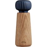 Kähler Hammershøi Mühle