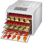 CONCEPT Hausgeräte Dörrautomat, SO2050, 500 Watt, weiß, 6 Ebenen, Plastik, Edelstahlsiebe, Touch-Steuerung