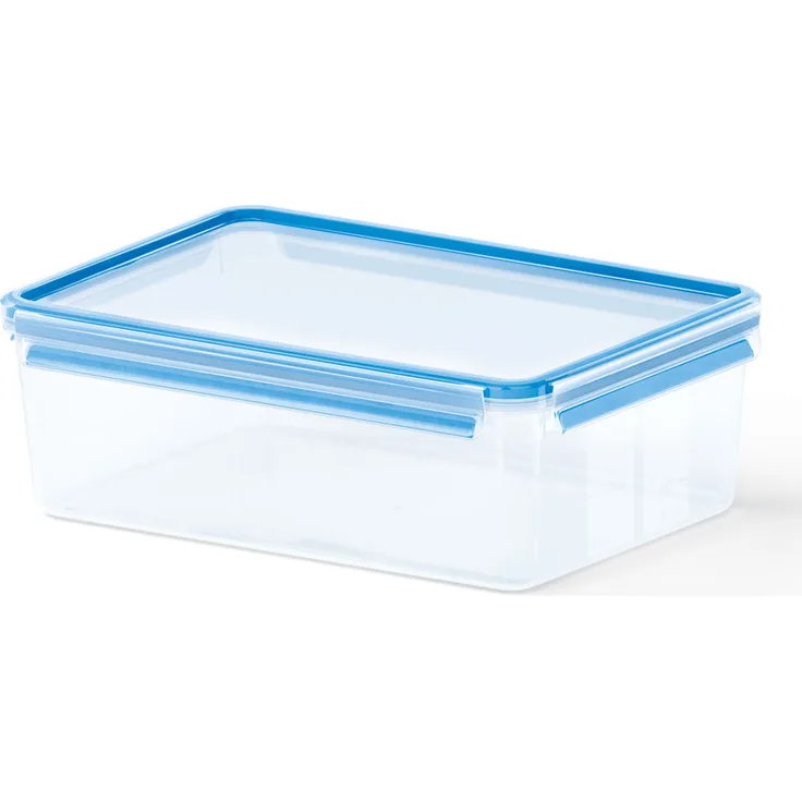 Emsa Clip&Close Perfect Clean 5,5 l 