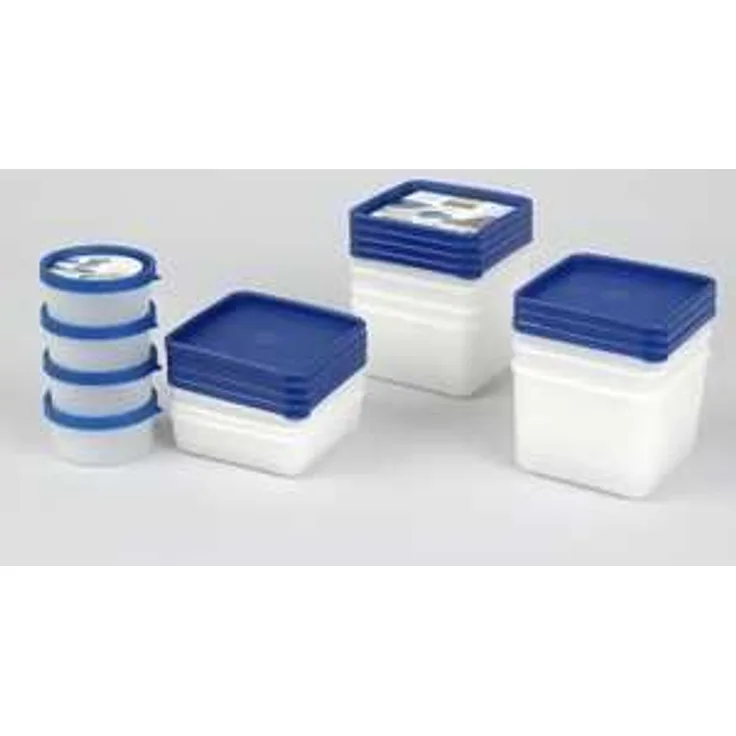 Westmark Gefrierdosen-Set, 4-teilig, Volumen je 250 ml, Kunststoff, Quadratisch: 11,3 x 11,3 x 3,6 cm, Transparent-Blau, 25042270