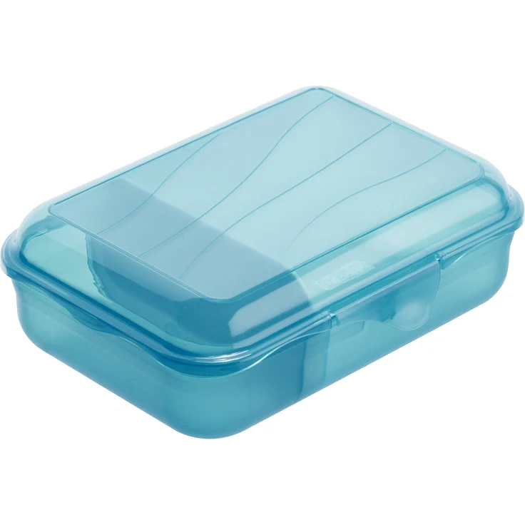 Rotho Fun Vesperdose mit herausnehmbarer Trennwand, Kunststoff (BPA -frei), blau, Gr. S - 0.9 Liter (17,7 x 12,9 x 6 cm) – Bild 1