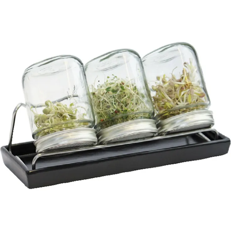 Eschenfelder - 3er-Sprossen System 750ml - Schale anthrazit