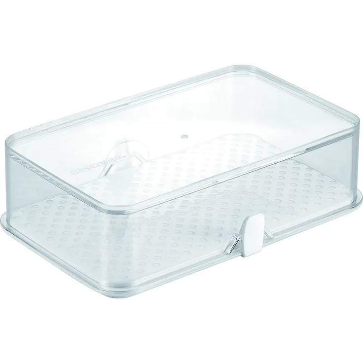Tescoma Kühlschrank-Dose Purity 22x14 cm