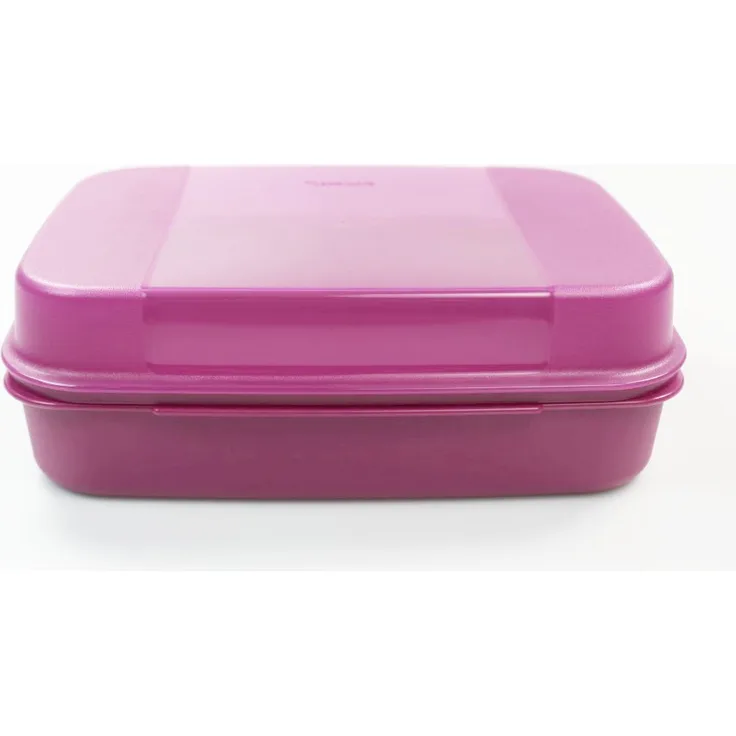 Tupperware Naschkätzchen 2,5 L brombeer Bellevue Vorratshaltung Vorrat Apollo