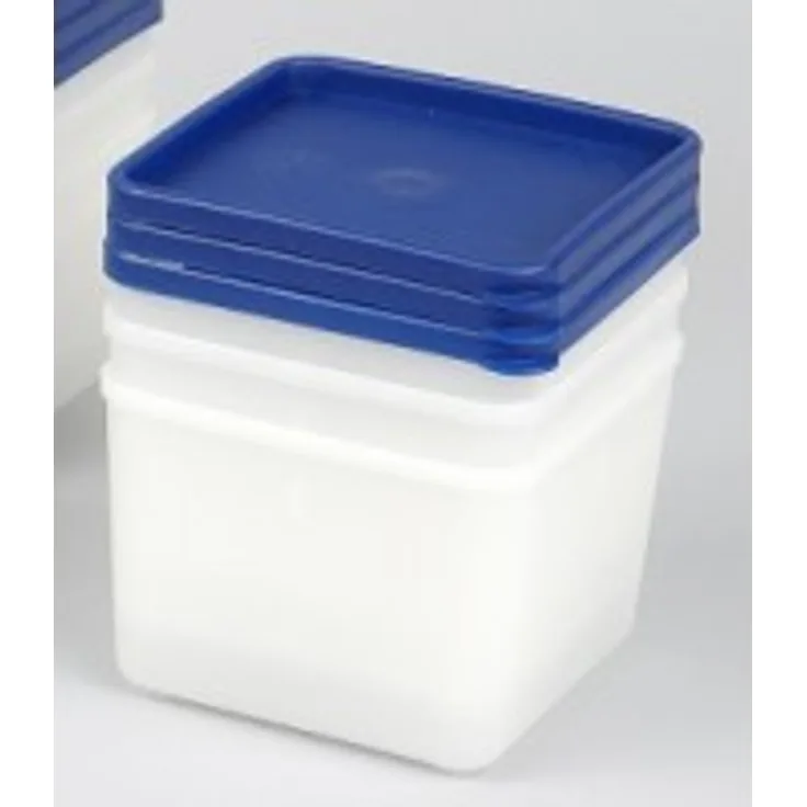 Westmark 3 Gefrierdosen, Plastik, transparent, 11.3 x 11.3 x 8.5 cm, 3-Einheiten