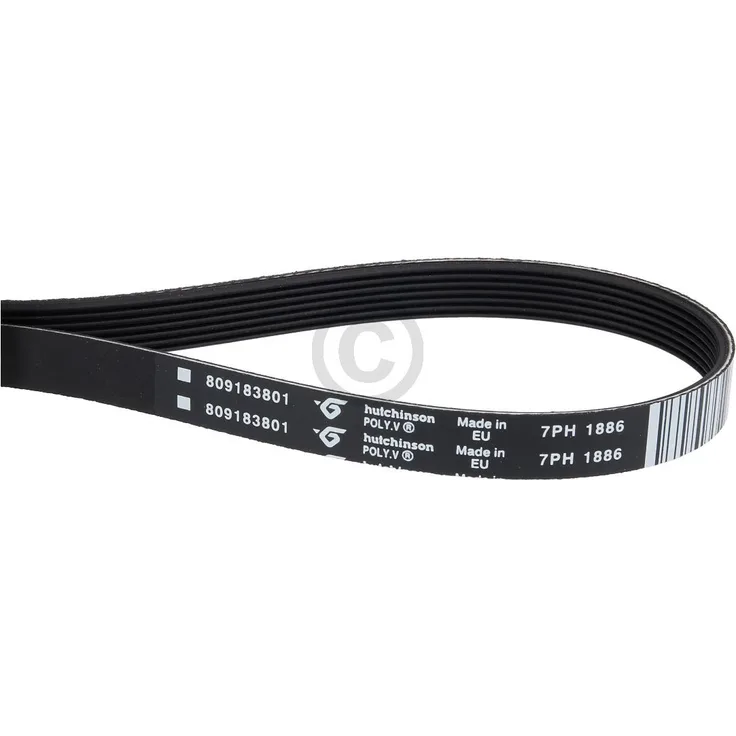 Antriebsriemen Electrolux 8091838014 für Trockner