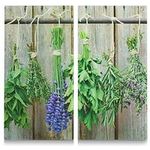 Zeller 26300 Herdabdeck--Schneideplatten Kräuter, 2-er Set Glas dekor 30 x 52 x 1 cm 2 Einheiten