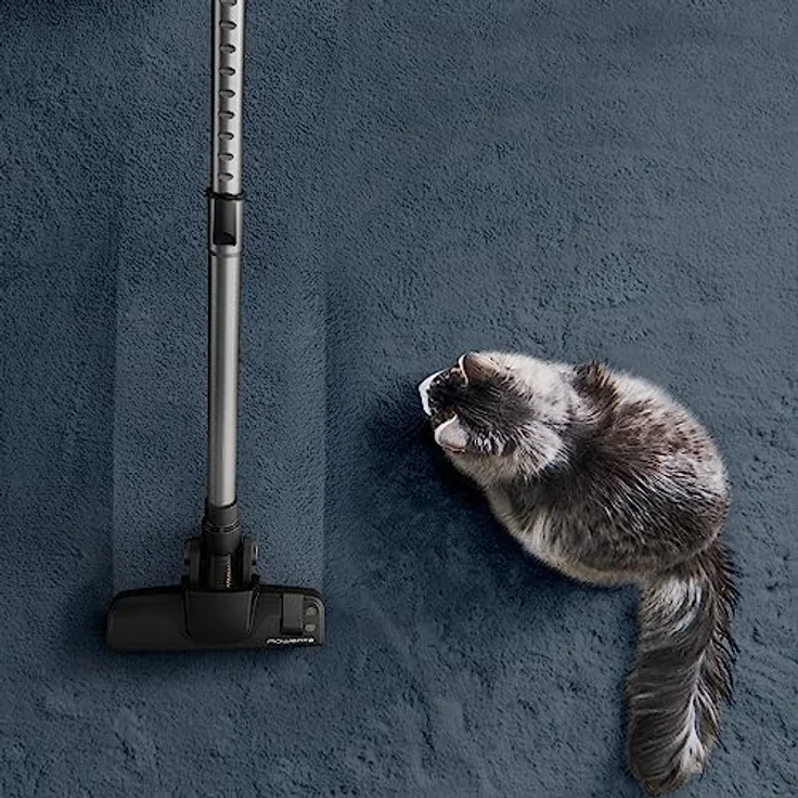 Rowenta Bodenstaubsauger RO7C66, Green Force Cyclonic Effitech®, 2,5L, recyceltes Design – Bild 6