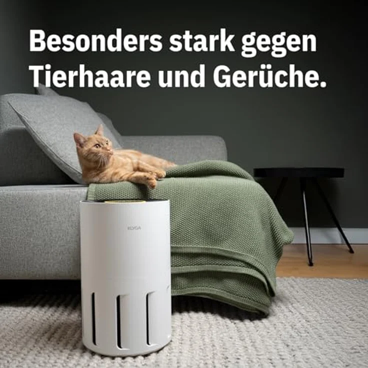 Klyqa Luftreiniger Air Klyna S 360° HEPA-Filter Leaf in Weiß I Luftreiniger gegen Tierhaare und Allergene I Smarter Air Klyna für große Räume I 300 CADR I Geräuscharmer Luftreiniger mit Umgebungslicht – Bild 3