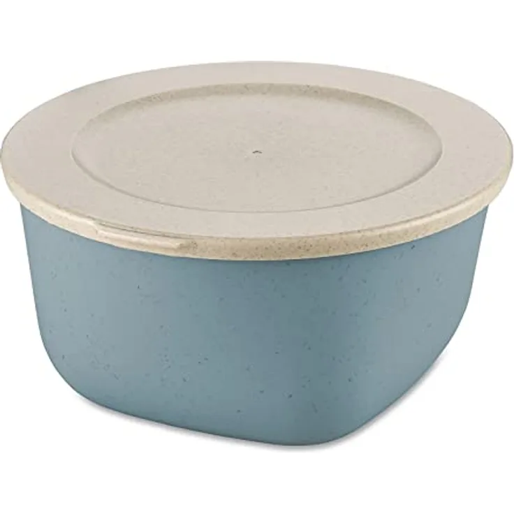 Koziol 7871716 BOX mDECK, Kunststoff Vorratsdose in Nature Flower Blue