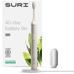 SURI Nachhaltige Schallzahnbürste,Schlanke und leistungsstarke elektrische Zahnbürste, recycelbarer Kopf auf pflanzlicher Basis, 2 Modi, inklusive Spiegelhalterung und USB-Ladeständer,Sea Mist