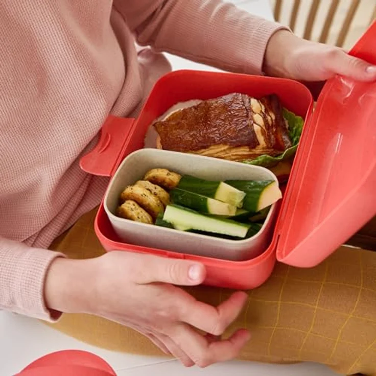 KOZIOL Lunchbox Candy L Dreams, Biozirkukärer Kunststoff, mit Trennschale in Organic Red – Bild 6