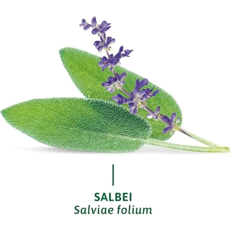 Bad Heilbrunner Salbei Tee – Bild 3