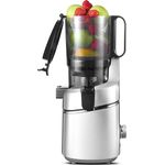 AMZCHEF SJ-036-GA Slow Juicer grau – 135 mm Öffnung, 250 W Motor, maximale Saftausbeute, minimale Oxidation
