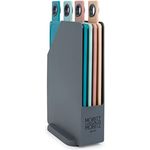 Moritz & Moritz 4X Frühstücksbrettchen Kunststoff Klein - 20,5 x 14,5 cm, spülmaschinenfest, mit Ständer (4 verschiedene Farben)