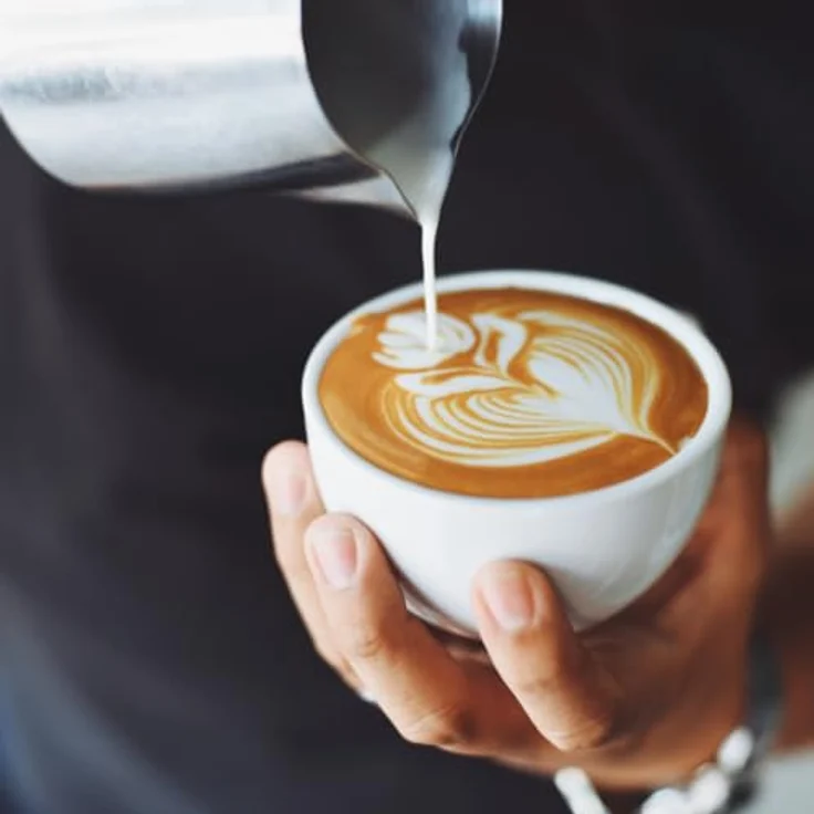 ADLER - Elektrischer Milchaufschäumer und Milchheizer - 2in1-4 Funktionen: Cappuccino, Latte, Erwärmen, kalter Schaum - Set mit kabelloser Tasse - drehbarer 360°-Sockel - 300ml Milch - 150ml Schaum – Bild 4