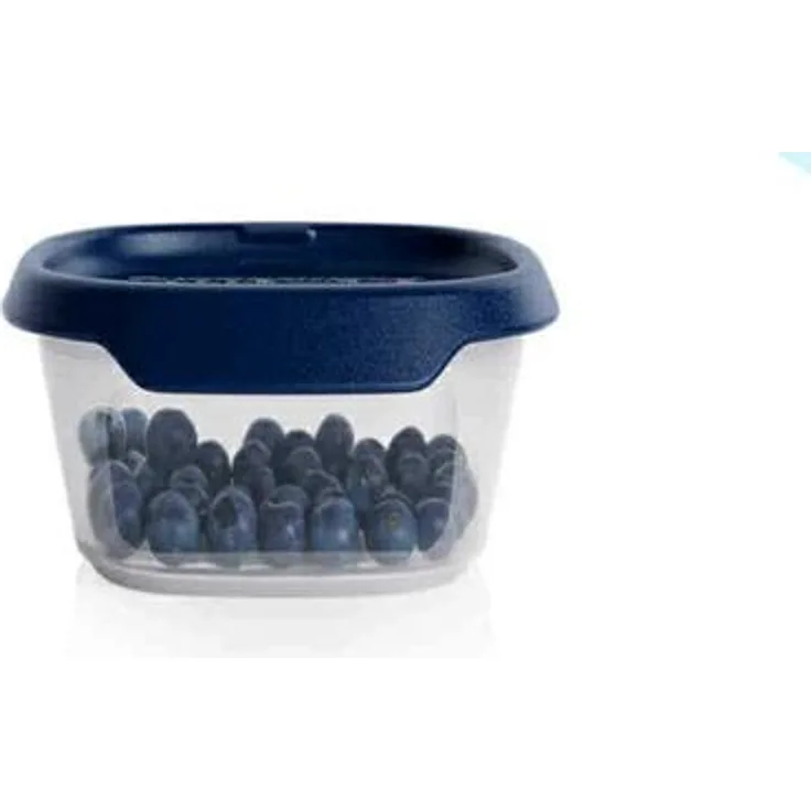 Tupperware One Touch Fresh® 370 ml Vorratsdose mit blauem Deckel, modular stapelbar und One Touch Verschluss
