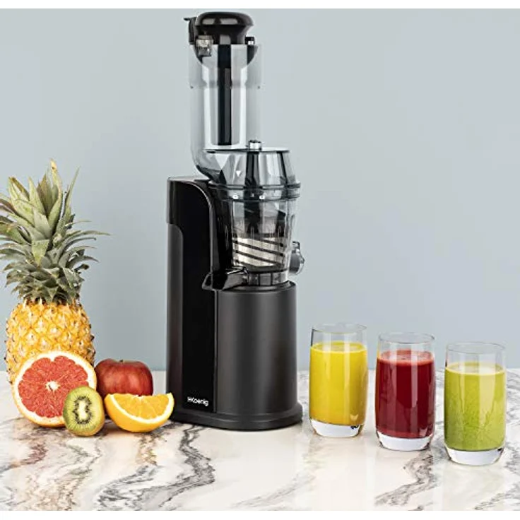 H.Koenig GSX16 Slow Juicer Entsafter, 0,8 L, 250 W Edelstahl – Bild 3