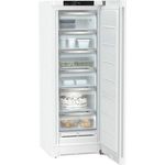 Liebherr FNe 5026-20 Gefrierschrank, freistehend, weiß, NoFrost, Schnellgefrieren, Breite 59.7 cm, Energieklasse E - Preisvergleich