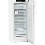 Liebherr FNc 4675-20 Gefrierschrank, freistehend, weiß, NoFrost, Höhe 145 cm, Energieklasse C