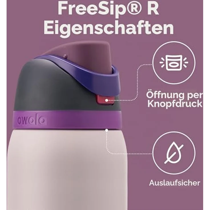 Owala FreeSip Edelstahl Trinkflasche mit Strohhalm, 945 ml – BPA-frei, isoliert, für Sport und Outdoor, Dreamy Field – Bild 3