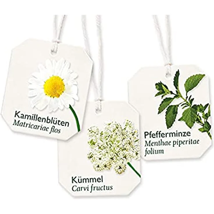 Bad Heilbrunner Magen- und Darm Tee – Bild 4