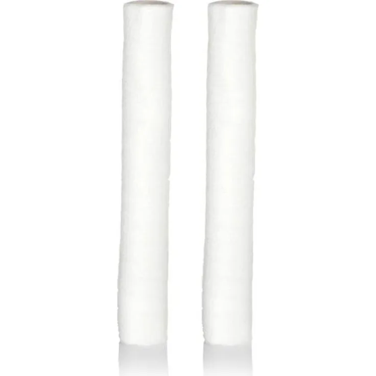 Grünbeck Ersatzfilter gENO 1", 50 µm, Set mit 2 Stück, ohne Schutzglocke