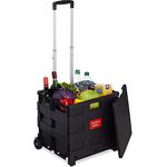 Relaxdays Einkaufstrolley klappbar, mit Teleskopgriff & Deckel, Transporttrolley, bis 35 kg, HBT 99x45x38 cm, Farbwahl, 1 Stück