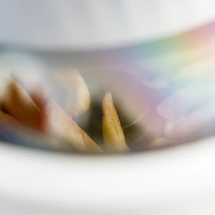 Taurus Fritteuse Airfryer Heißluftfritteuse Taurus EST9739900L Grau 1550 W – Bild 8