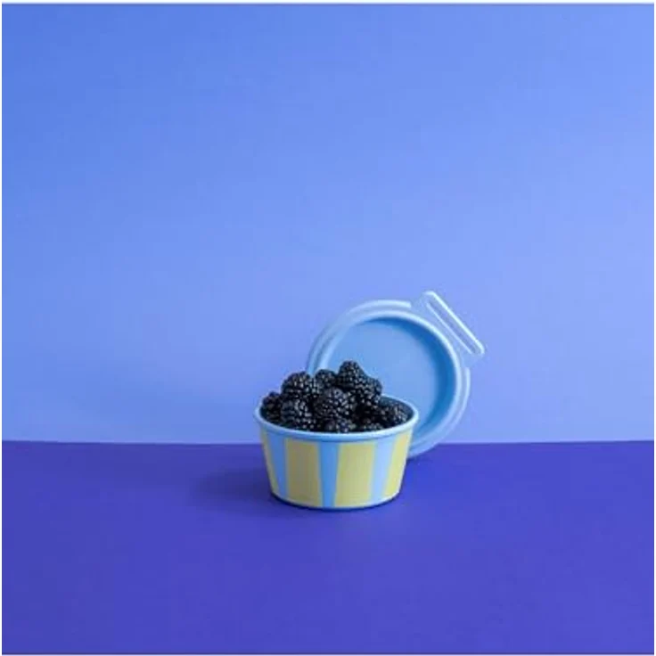 Koziol Schüssel mit Deckel NORA S 250 ml, luftdichtes Design in Sweet Blue mit pastellfarbenen Streifen – Bild 3