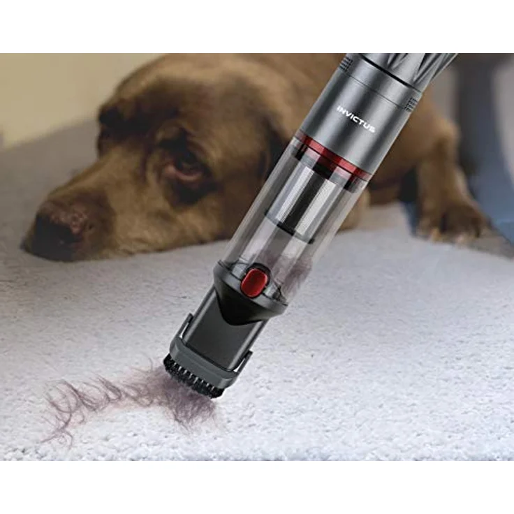 Genius Invictus One Kleinstaubsauger, 15 min Akkubetrieb, HEPA-Filter, anthrazit – Bild 3