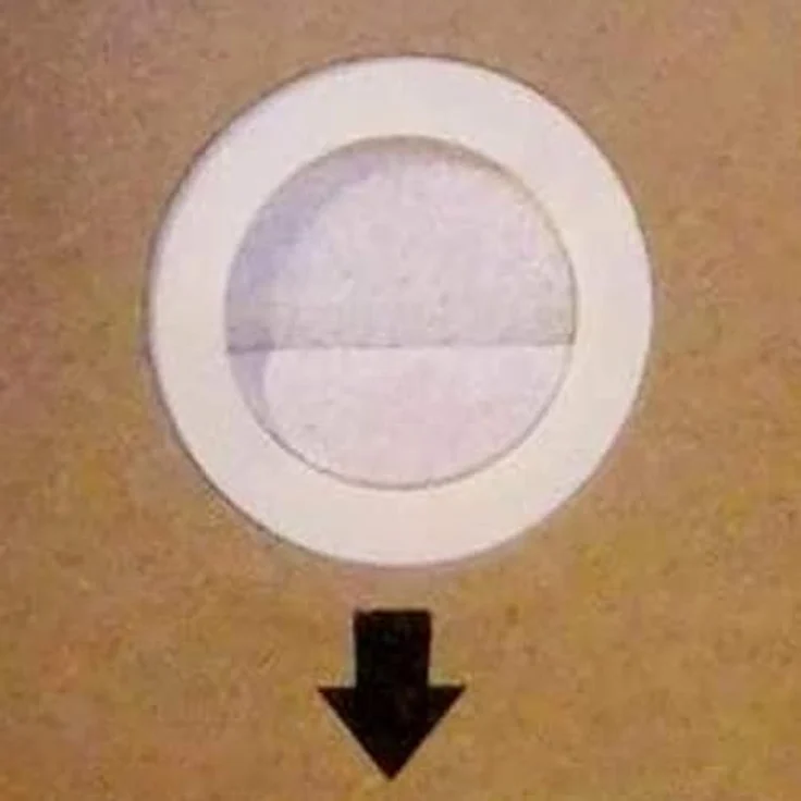 DOMO DO7283S-SET2 Staubsaugerbeutel, 10 Stück mit 2 Litern Volumen – Bild 4