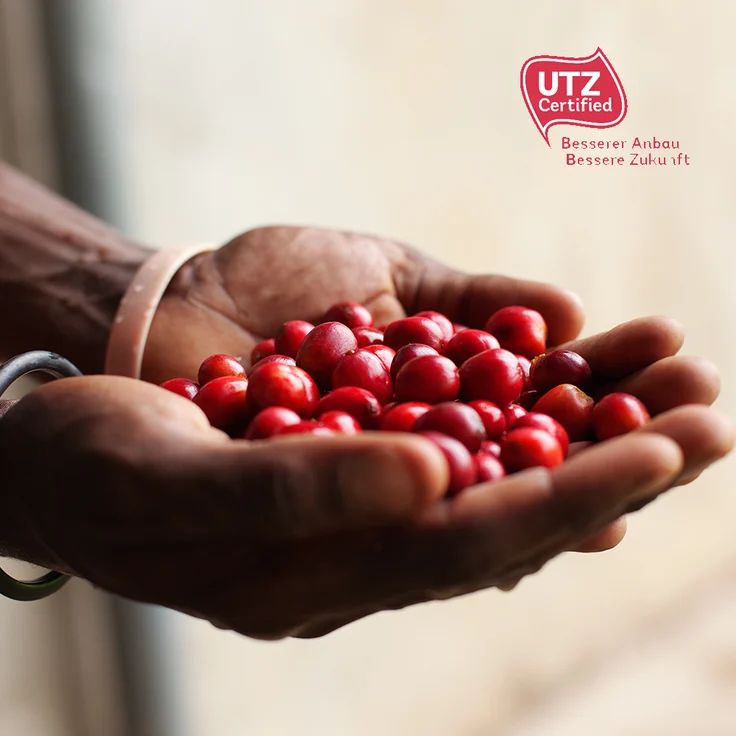 Tchibo Cafissimo Espresso kräftig Kapseln, 120 Stück (4 x 30 Kapseln) – Bild 7