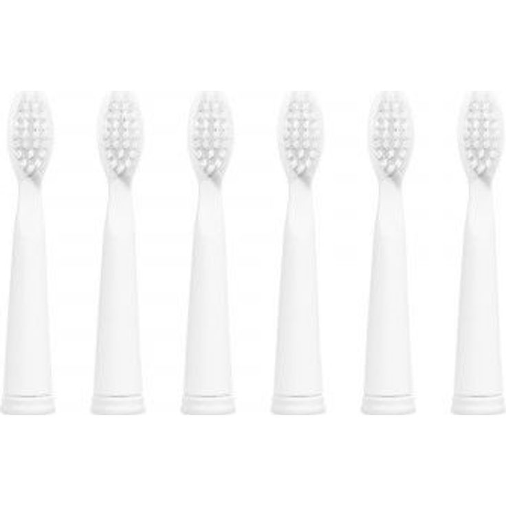 Ailoria Flash Travel weiß für die Ailoria Reisezahnbürste, ideal für unterwegs, 6er-Pack