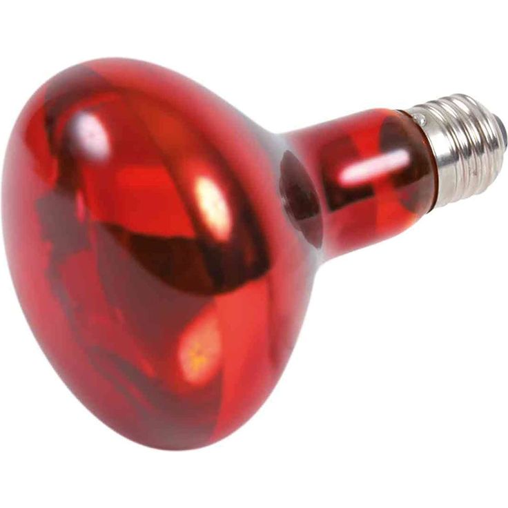 Trixie Wärmelampe infrarot 100 watt 8 x 10,8 cm Glas rot