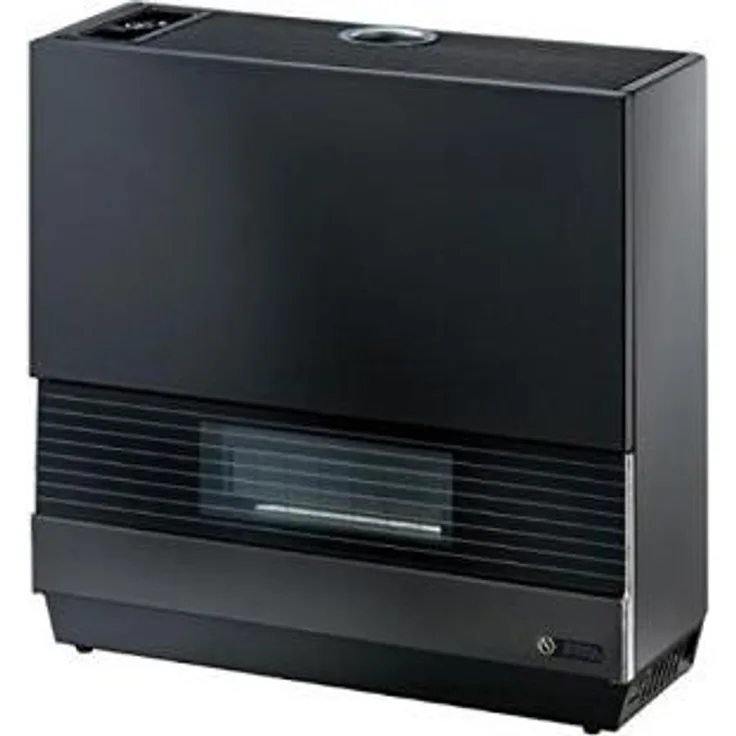 Olimpia Splendid SG 80 HE, Lüfterloser Industrie-Heizkörper, 6300 W für Räume bis 230 m³, Stahl, Schwarz, doppeltes Sicherheitssystem