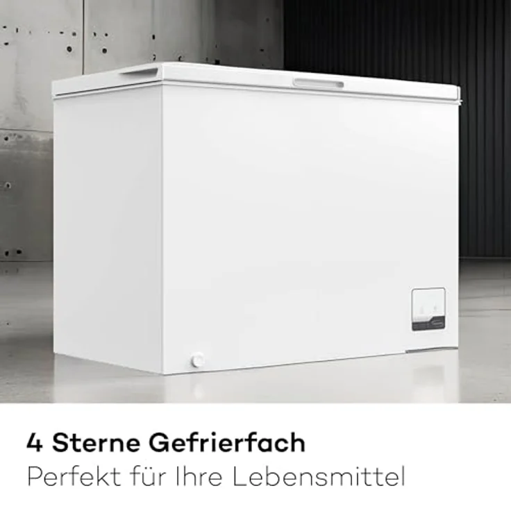 SCHOEPF GT300S Gefriertruhe, 299 Liter, Energieeffizienzklasse E, 4-Sterne, leise mit 41 dB, weiß – Bild 3
