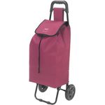Metaltex Daphne Einkaufstrolley 40 L, abnehmbare Tasche mit Regenschirmtasche, ergonomischer Griff, große Räder
