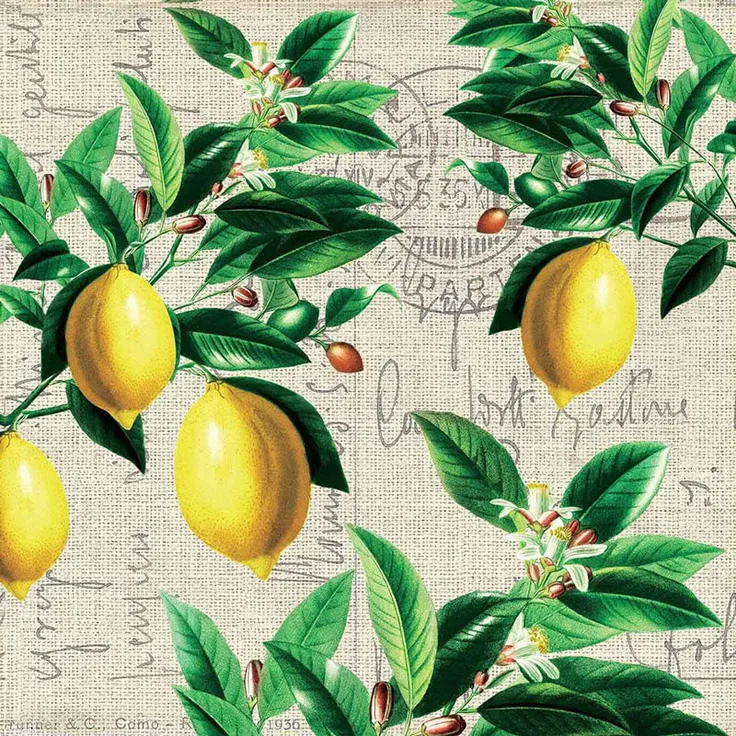 Paperproducts Design Servietten 33x33 Capri
