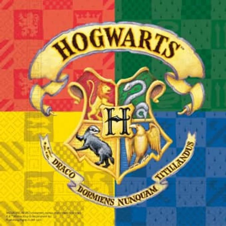 Procos servietten Harry Potter 33 cm Papier 20 Stück