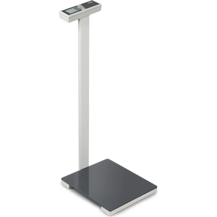 Säulenwaage mit 250 kg Höchstlast Kern MPK