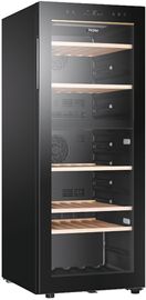 Haier HWS79GDG Weinkühlschrank