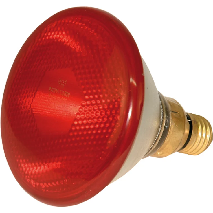 Kerbl Sparlampe PAR38 100W rot, Heizgeräte – Bild 1