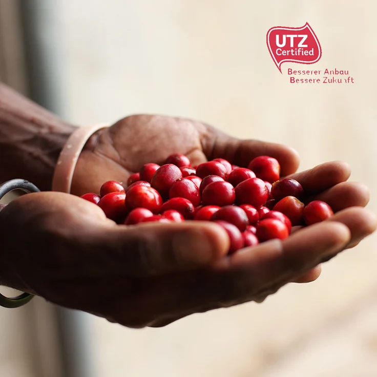 Tchibo Cafissimo Caffè Crema entkoffeiniert Kaffeekapseln, 120 Stück – 4x30 Kapseln (Kaffee, mild mit feinem Aroma), nachhaltig & fair gehandelt – Bild 8