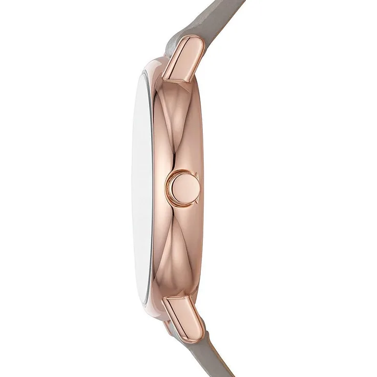 Skagen SIGNATUR LILLE SKW3060 Damenarmbanduhr