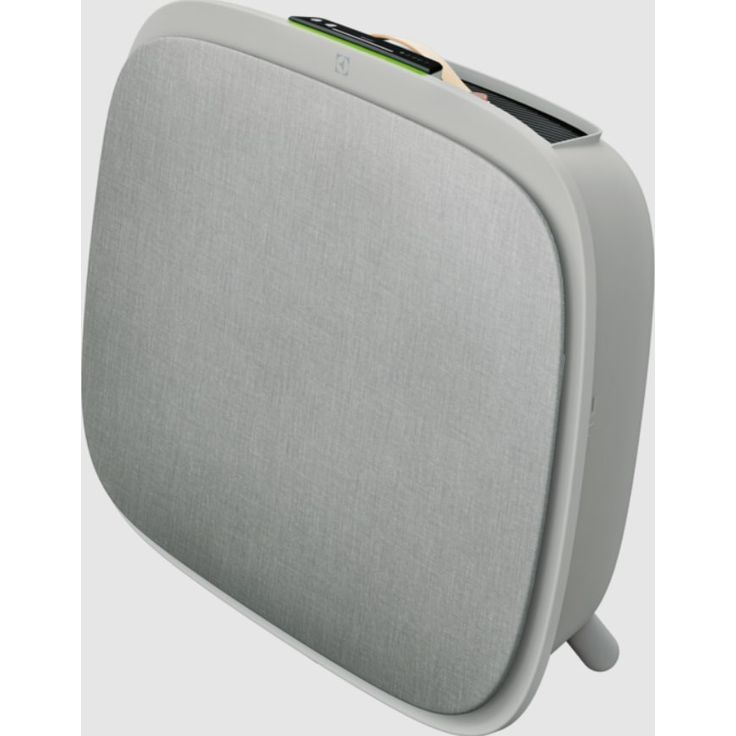 Electrolux WA71-304GY, Luftreiniger, Grau