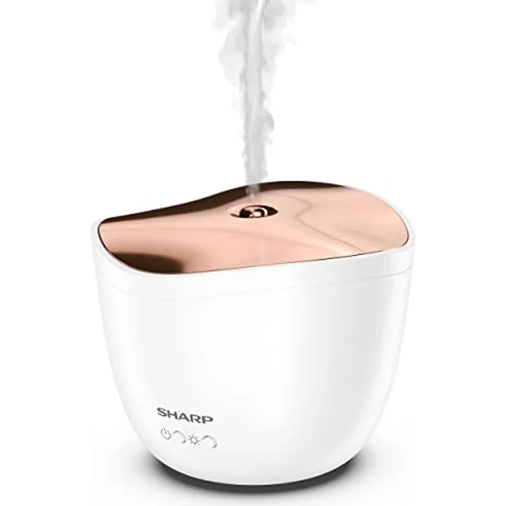 Sharp DF-A1E-W – Bild 5